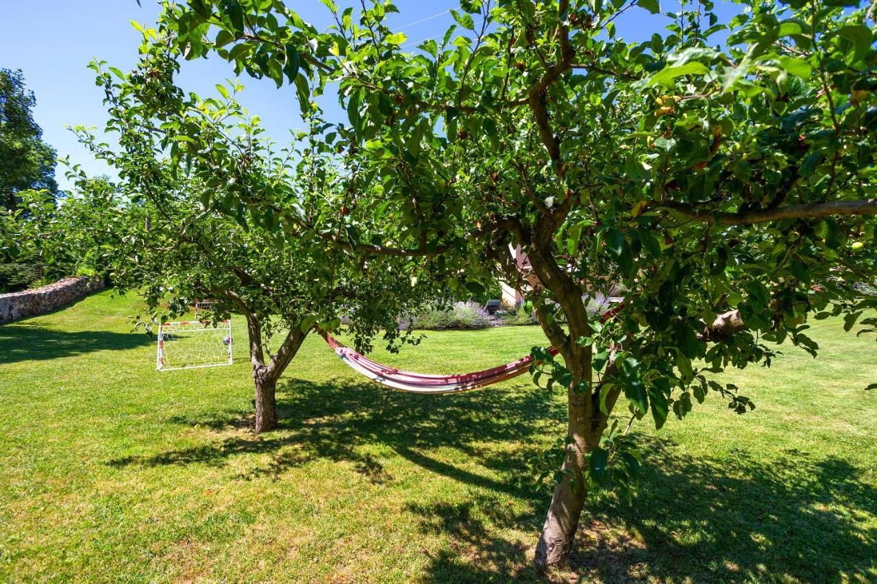 Villa Krizanci Žminj Екстериор снимка