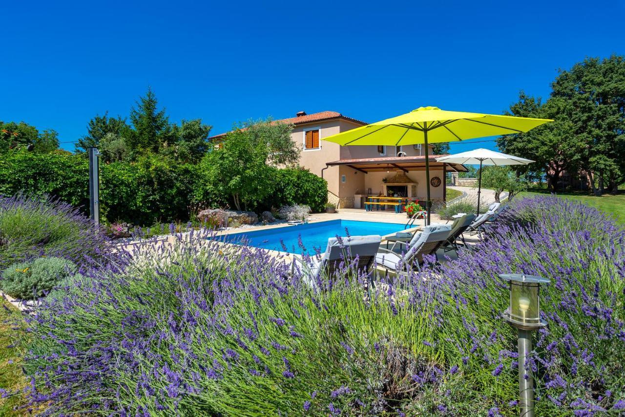 Villa Krizanci Žminj Екстериор снимка